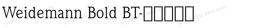 Weidemann Bold BT字体转换